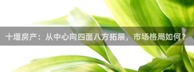风暴娱乐老板：十堰房产：从中心向四面八方拓展，市场格局如何？