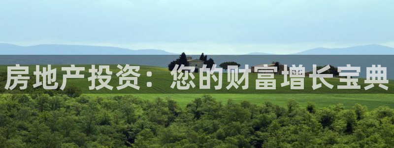 风暴娱乐主页：房地产投资：您的财富增长宝典