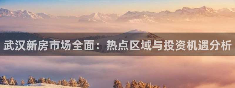 风暴娱乐左5指尖：武汉新房市场全面：热点区域与投资机遇分析