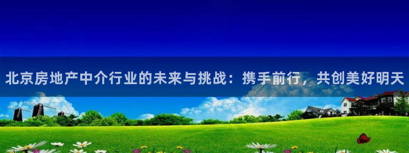 风暴娱乐代理登录：北京房地产中介行业的未来与挑战：携手前行，