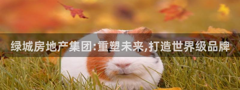 风暴娱乐园：绿城房地产集团:重塑未来,打造世界级品牌