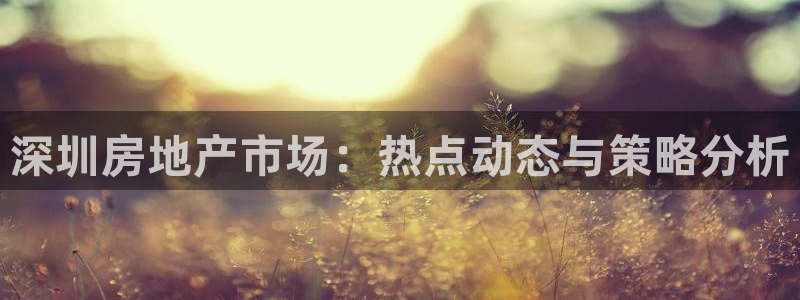 风暴娱乐部：深圳房地产市场：热点动态与策略分析