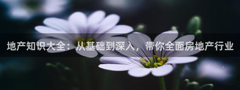 风暴娱乐官方网站：地产知识大全：从基础到深入，带你全面房地产