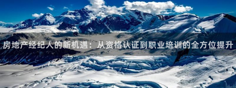 娱乐风暴港：房地产经纪人的新机遇：从资格认证到职业培训的全方