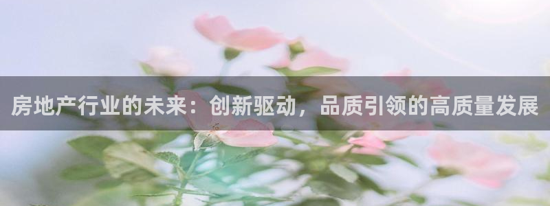 风暴英雄娱乐：房地产行业的未来：创新驱动，品质引领的高质量发