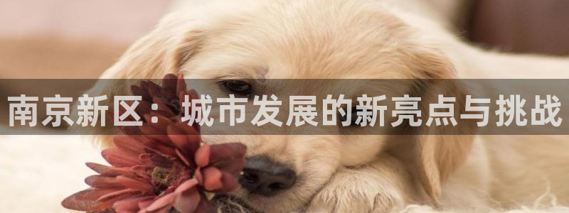 风暴大厅娱乐：南京新区：城市发展的新亮点与挑战