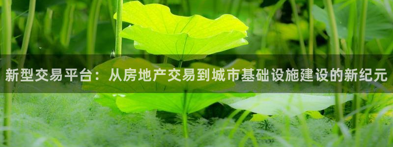 光风暴娱乐：新型交易平台：从房地产交易到城市基础设施建设的新