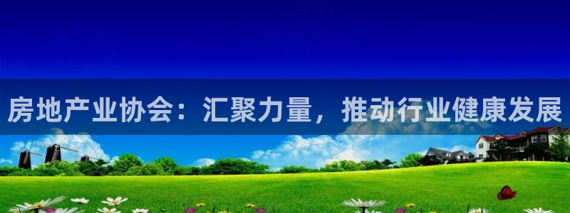 风暴娱乐主管是谁：房地产业协会：汇聚力量，推动行业健康发展