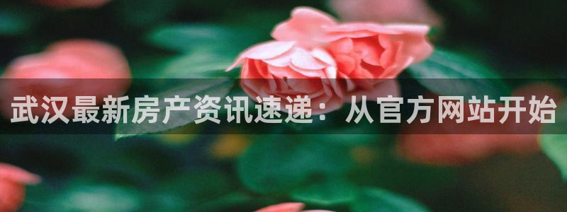 风暴娱乐去人l8888：武汉最新房产资讯速递：从官方网站开始