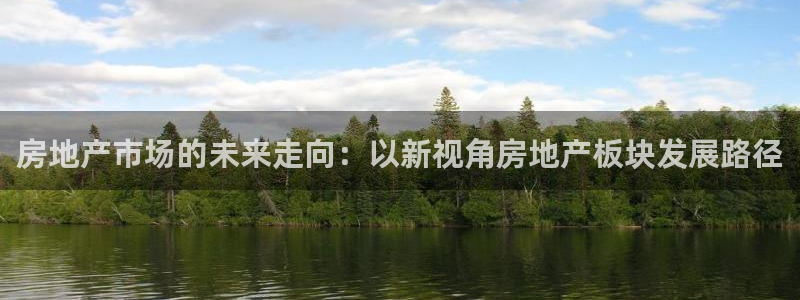 光风暴娱乐：房地产市场的未来走向：以新视角房地产板块发展路径