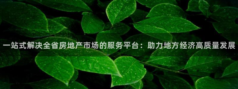 风暴娱乐拉菲8：一站式解决全省房地产市场的服务平台：助力地方