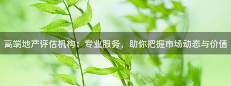 风暴娱乐1：高端地产评估机构：专业服务，助你把握市场动态与价