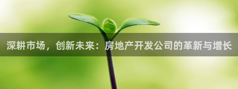 光风暴娱乐：深耕市场，创新未来：房地产开发公司的革新与增长