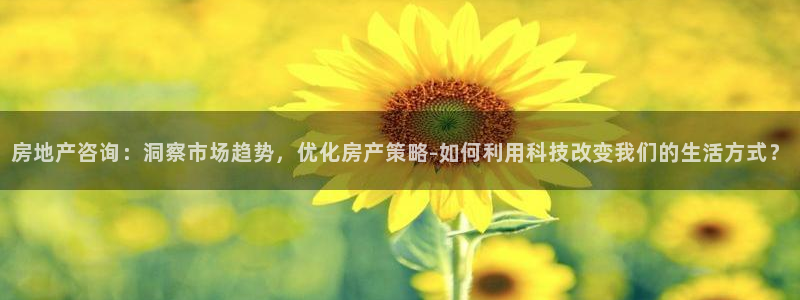 风暴娱乐部：房地产咨询：洞察市场趋势，优化房产策略-如何利用