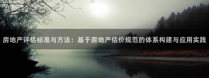 风暴娱乐主管是谁：房地产评估标准与方法：基于房地产估价规范的
