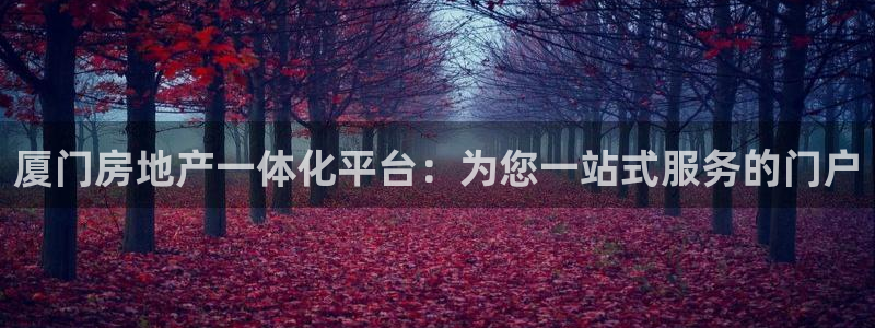 风暴娱乐图片：厦门房地产一体化平台：为您一站式服务的门户