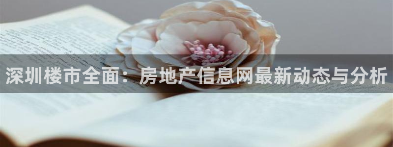 风暴娱乐园：深圳楼市全面：房地产信息网最新动态与分析