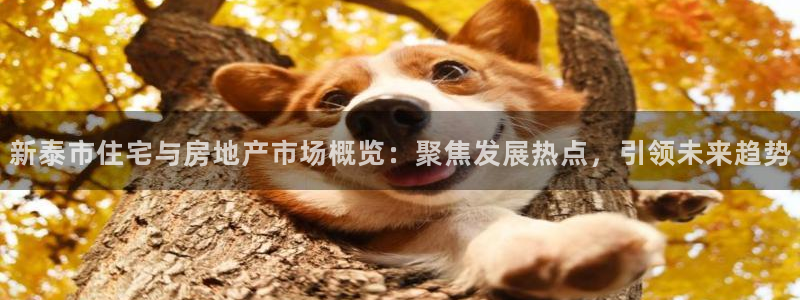 蓝色风暴娱乐：新泰市住宅与房地产市场概览：聚焦发展热点，引领