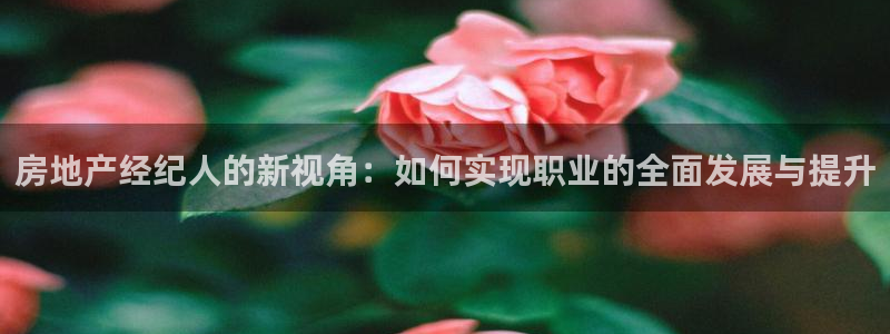风暴娱乐有5指尖：房地产经纪人的新视角：如何实现职业的全面发