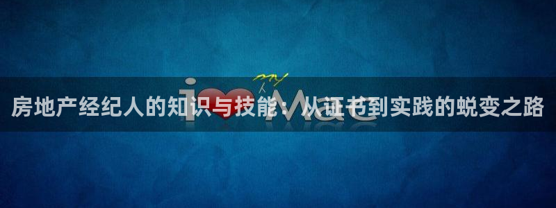 风暴娱乐老板：房地产经纪人的知识与技能：从证书到实践的蜕变之