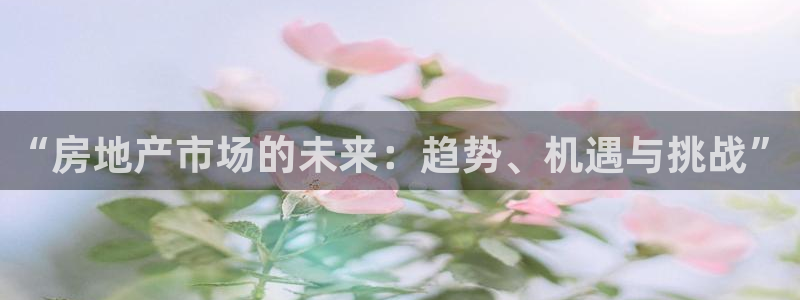 风暴娱乐自动挂：“房地产市场的未来：趋势、机遇与挑战”