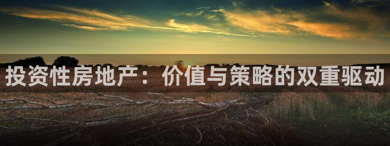 娱乐风暴二：投资性房地产：价值与策略的双重驱动