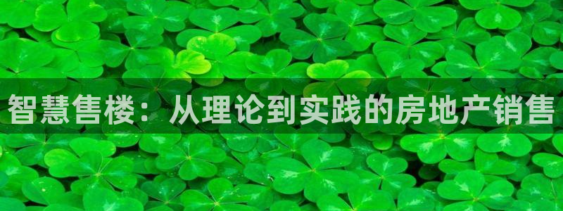 4120051风暴娱乐：智慧售楼：从理论到实践的房地产销售