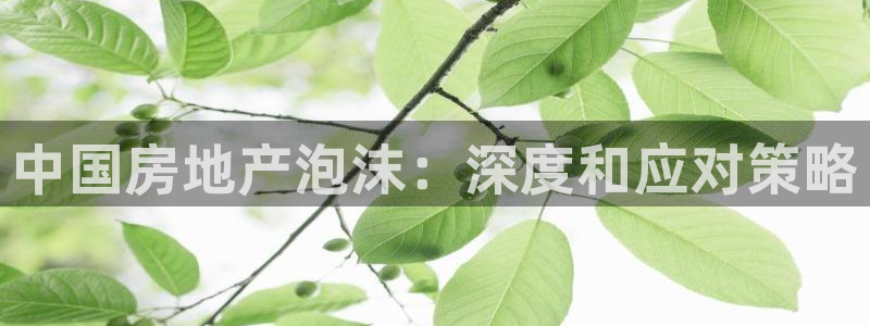 风暴娱乐记：中国房地产泡沫：深度和应对策略
