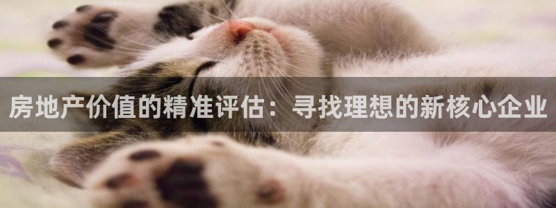 风暴娱乐注册网址：房地产价值的精准评估：寻找理想的新核心企业