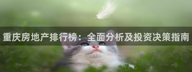 风暴娱乐主管是谁：重庆房地产排行榜：全面分析及投资决策指南