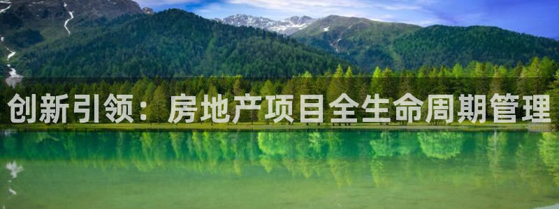 娱乐风暴2：创新引领：房地产项目全生命周期管理