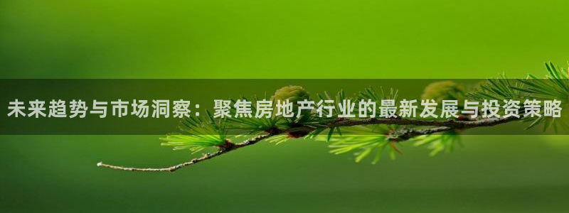 风暴娱乐点：未来趋势与市场洞察：聚焦房地产行业的最新发展与投