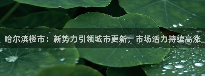 风暴娱乐平台地址：哈尔滨楼市：新势力引领城市更新，市场活力持