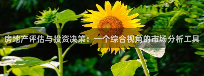 风暴娱乐字图片大全：房地产评估与投资决策：一个综合视角的市场