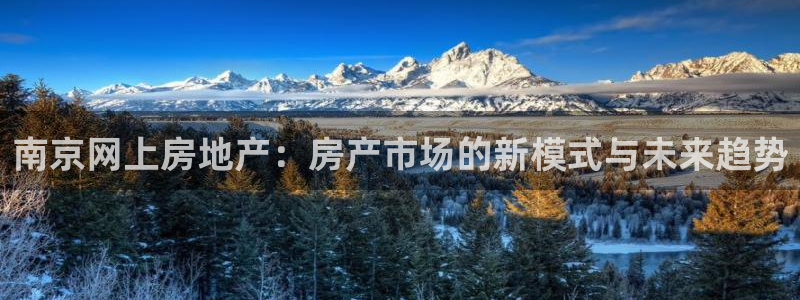 风暴娱乐派对：南京网上房地产：房产市场的新模式与未来趋势