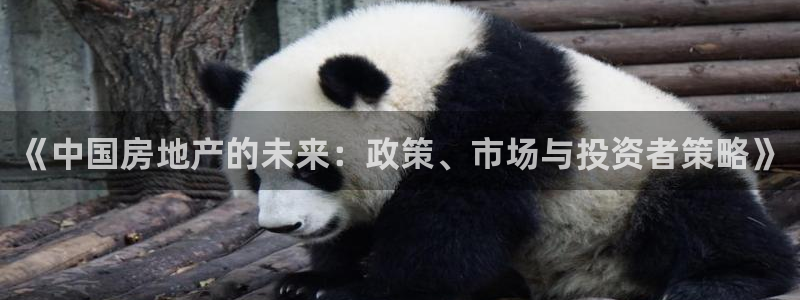 风暴娱乐首页：《中国房地产的未来：政策、市场与投资者策略》