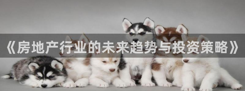 风暴娱乐1：《房地产行业的未来趋势与投资策略》