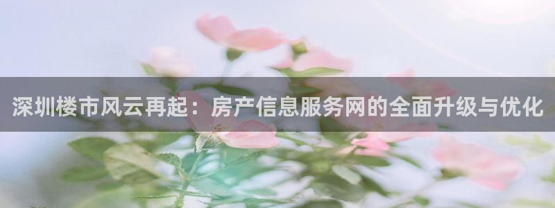 蓝色风暴娱乐：深圳楼市风云再起：房产信息服务网的全面升级与优