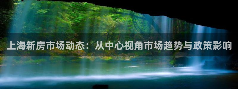 风暴娱乐首页：上海新房市场动态：从中心视角市场趋势与政策影响