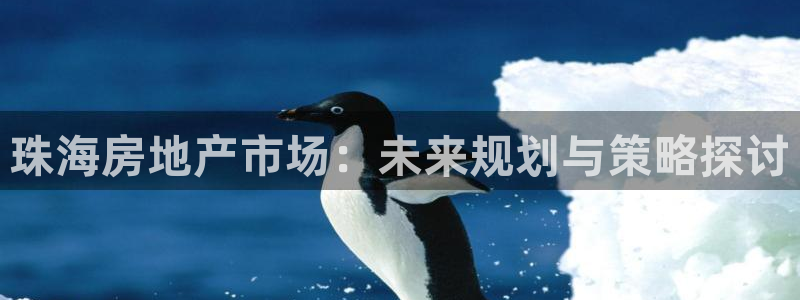 风暴娱乐下载：珠海房地产市场：未来规划与策略探讨
