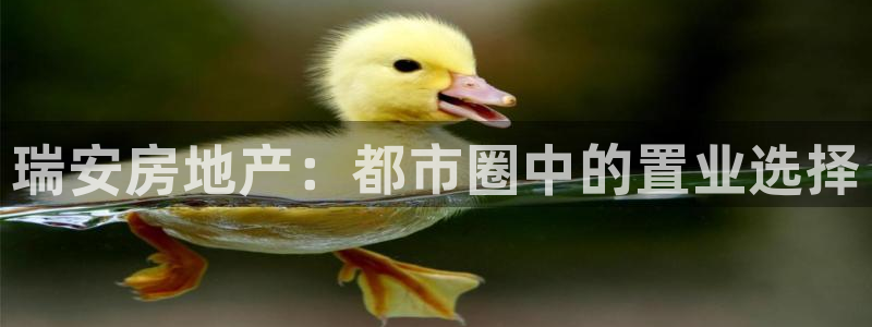 风暴娱乐官方网站：瑞安房地产：都市圈中的置业选择