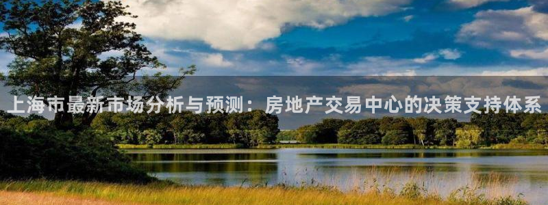 风暴大厅娱乐：上海市最新市场分析与预测：房地产交易中心的决策