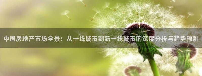风暴娱乐地5指尖：中国房地产市场全景：从一线城市到新一线城市