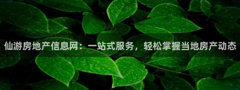 风暴娱乐号：仙游房地产信息网：一站式服务，轻松掌握当地房产动