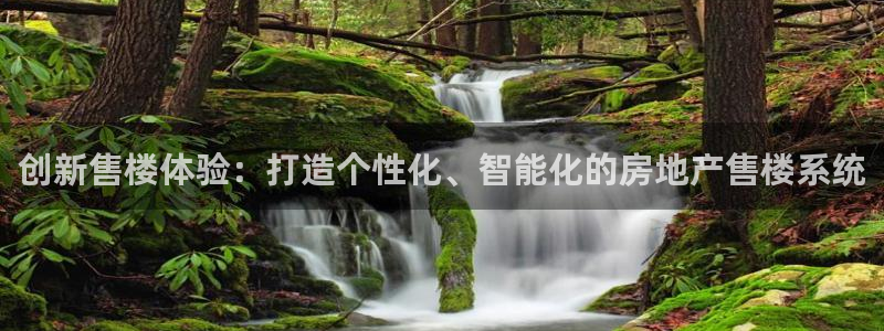 风暴娱乐客服：创新售楼体验：打造个性化、智能化的房地产售楼系