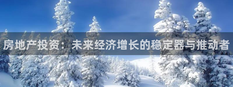 风暴娱乐代理登录：房地产投资：未来经济增长的稳定器与推动者