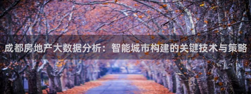 风暴娱乐字图片大全：成都房地产大数据分析：智能城市构建的关键