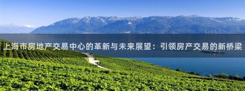 风暴娱乐厅：上海市房地产交易中心的革新与未来展望：引领房产交
