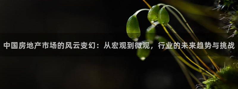 风暴娱乐园：中国房地产市场的风云变幻：从宏观到微观，行业的未