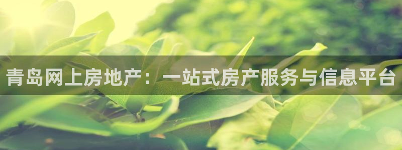风暴娱乐乃六七五一38：青岛网上房地产：一站式房产服务与信息